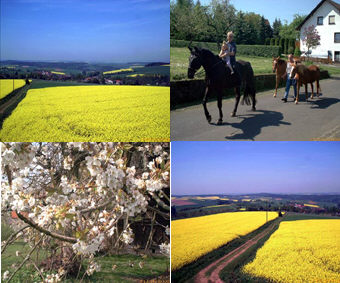 spring_1.jpg