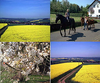 spring_1.jpg
