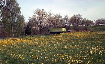 apr30_a.jpg