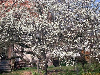 apr21_c.jpg